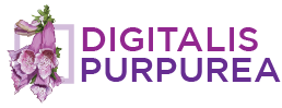 logo digitalis purpurea
